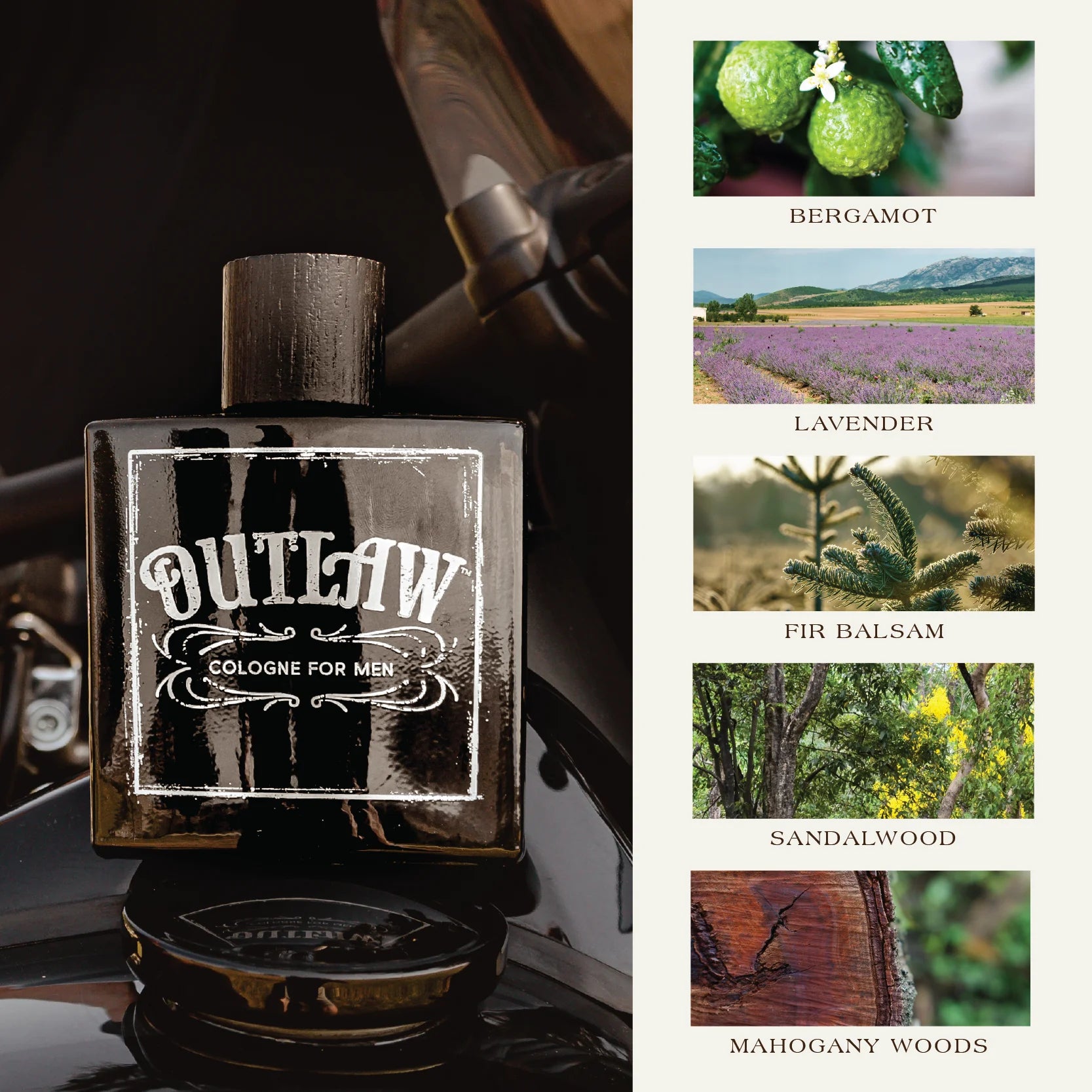 Outlaw Men’S Cologne Fragrance with Bergamot, Lavender & Fir Balsam, 3.4 Fl Oz