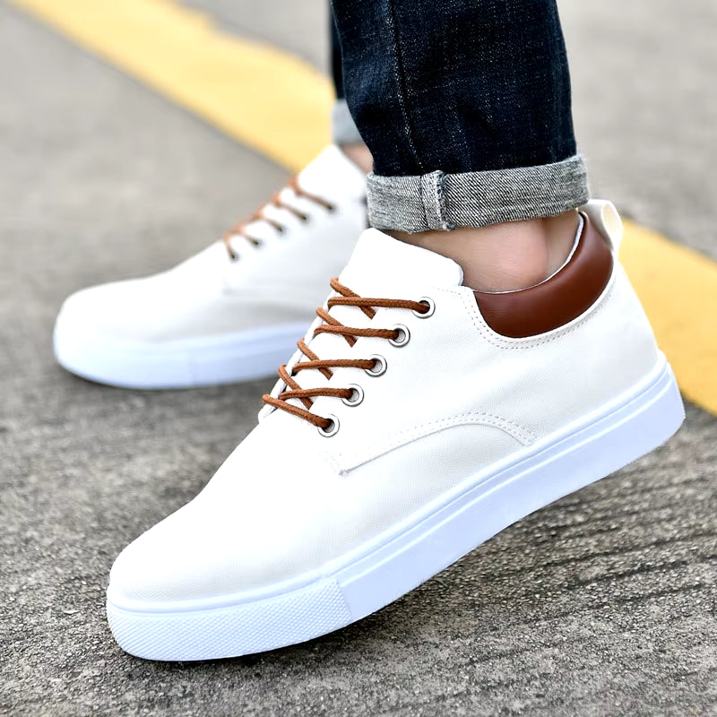 Men's Casual Canvas Sneakers - 2022 Collection